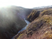 /album/pictures/dscf7617-jpg/