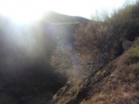 /album/pictures/dscf7618-jpg/